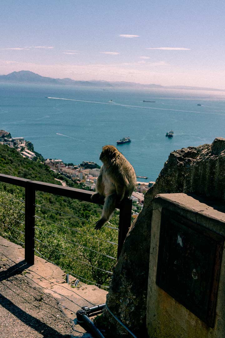 Trip to Gibraltar